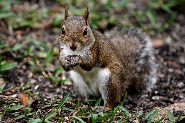 You lookin at me?