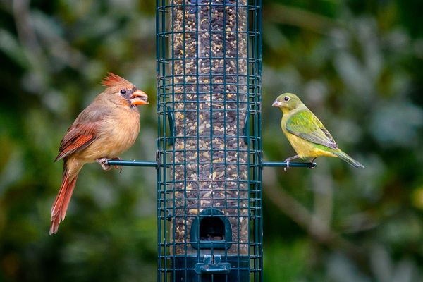 Two Ladies Sharing a Snack