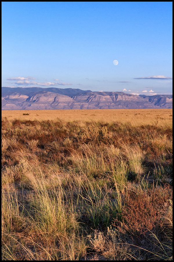 Moonrise in New Mexico