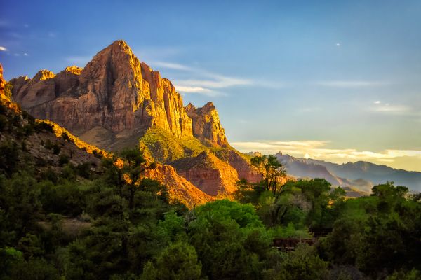 The Watchman