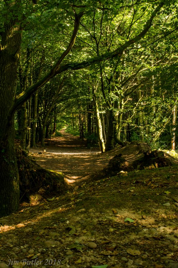 Path to ?