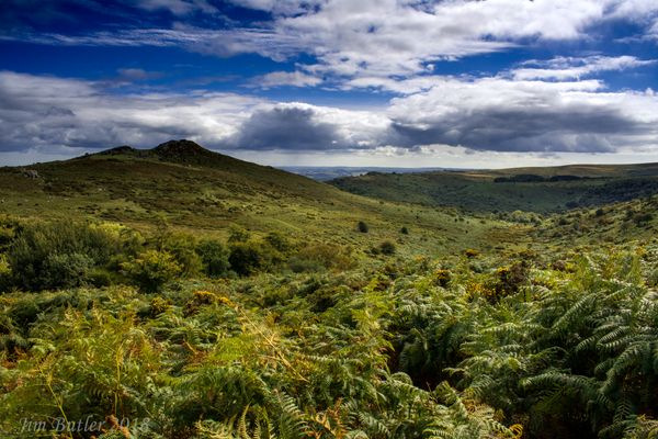 Dartmoor1