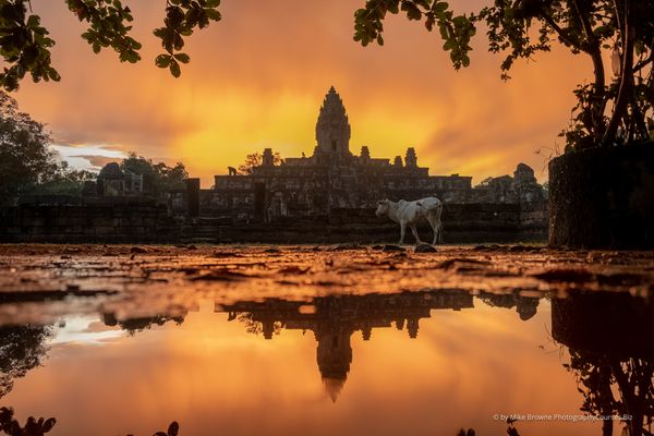 Sunset at Bakong