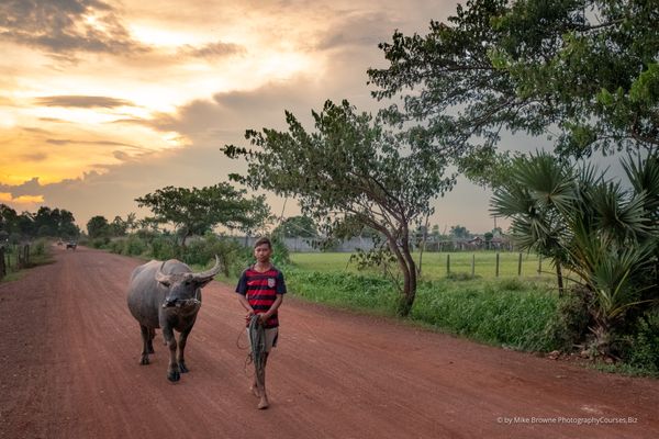 Buffalo Boy at Sunset