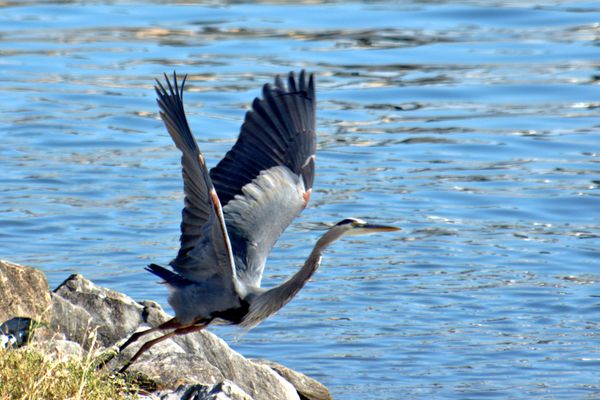 Take Off