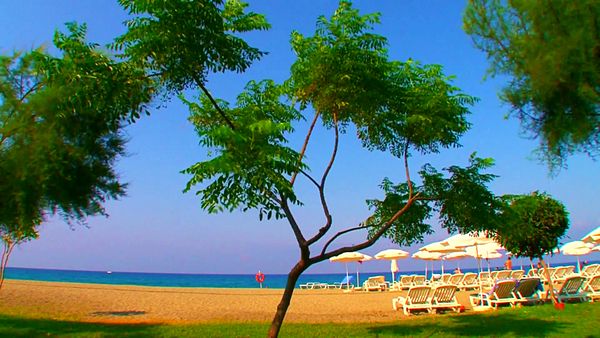 Beach