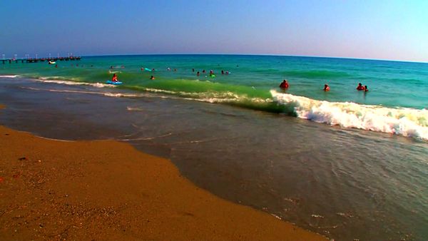Seashore