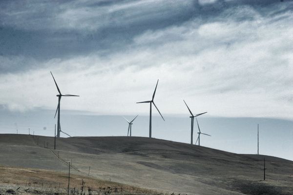 Wind turbine field in california