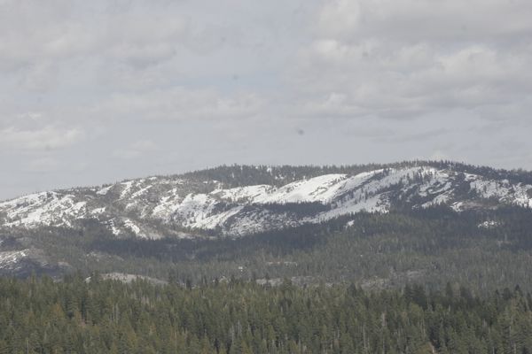 Snow cap mountains in Yosemite National park 