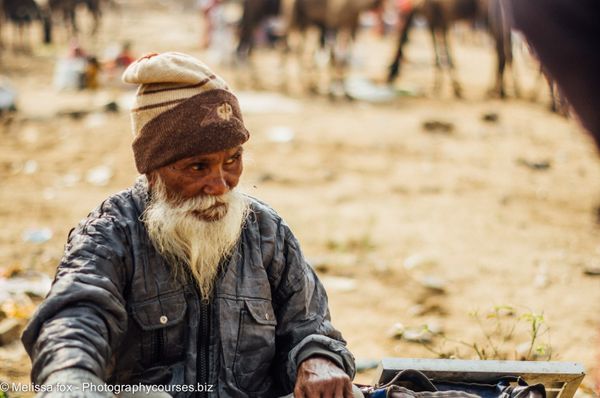 Old man vendor pushkar