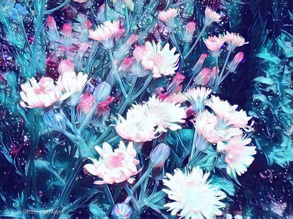 Spring is upon us