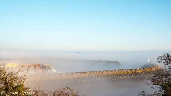 Barry Harbour as the Fog Lifts