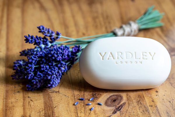 Lavender and Soap