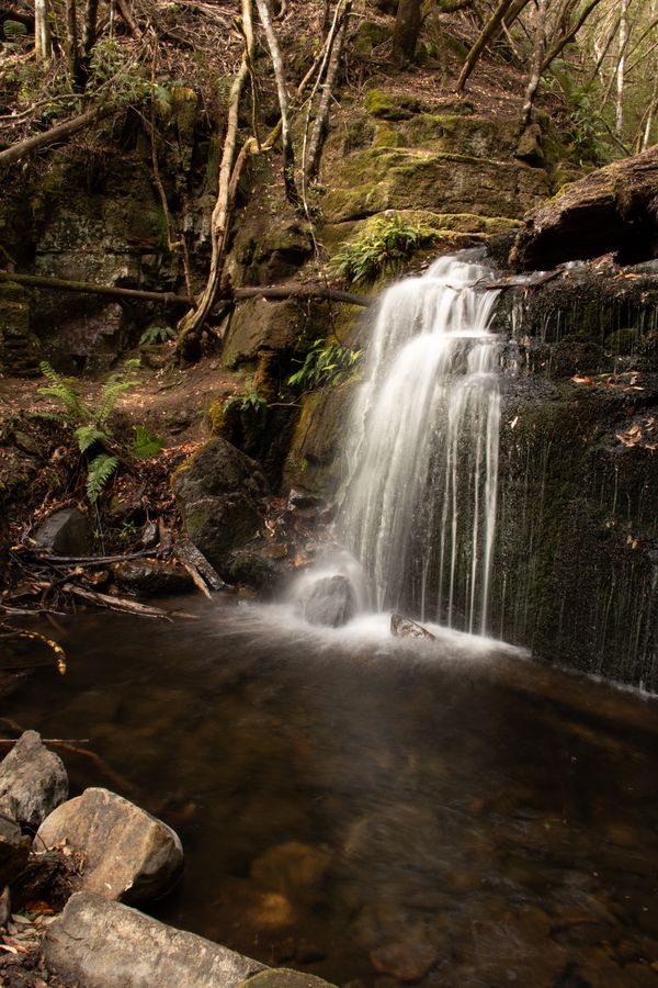 Strickland Falls 4