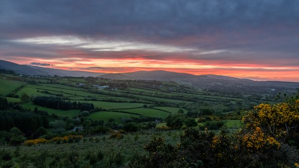 Sunset Over the Old Long Hill, Enniskerry, County Wicklow