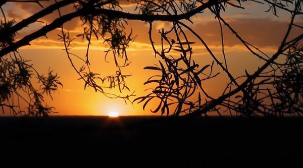 Sun Going Down