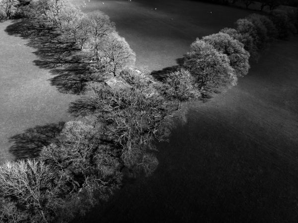 The old barn in the tree lines 0582