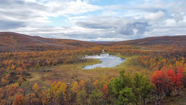 Autumn at the flat mountan