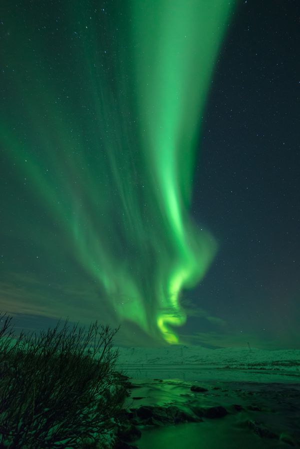 Northern lights above a small river