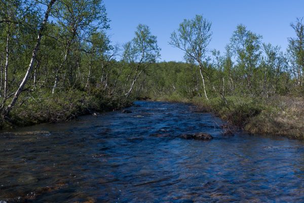 Small river stream