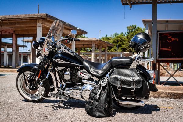 My Black Beauty