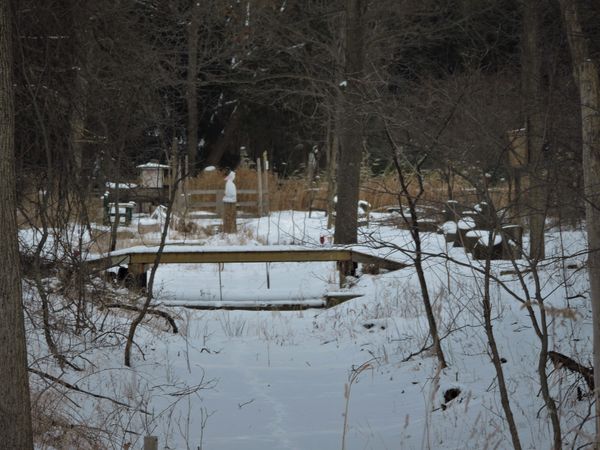 LDS-Winter Bridge ed