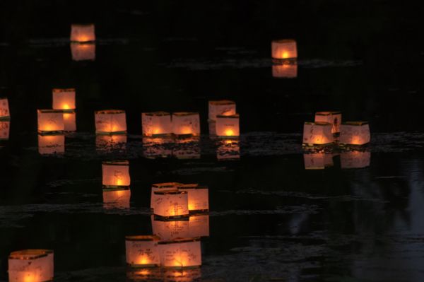 Floating Paper Candle Lanterns - Reflections