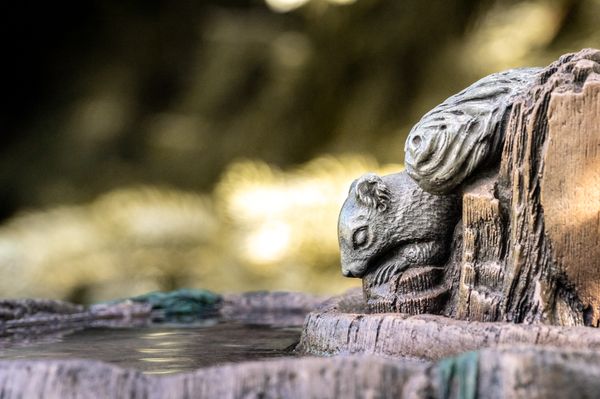 Squirrel Birdbath