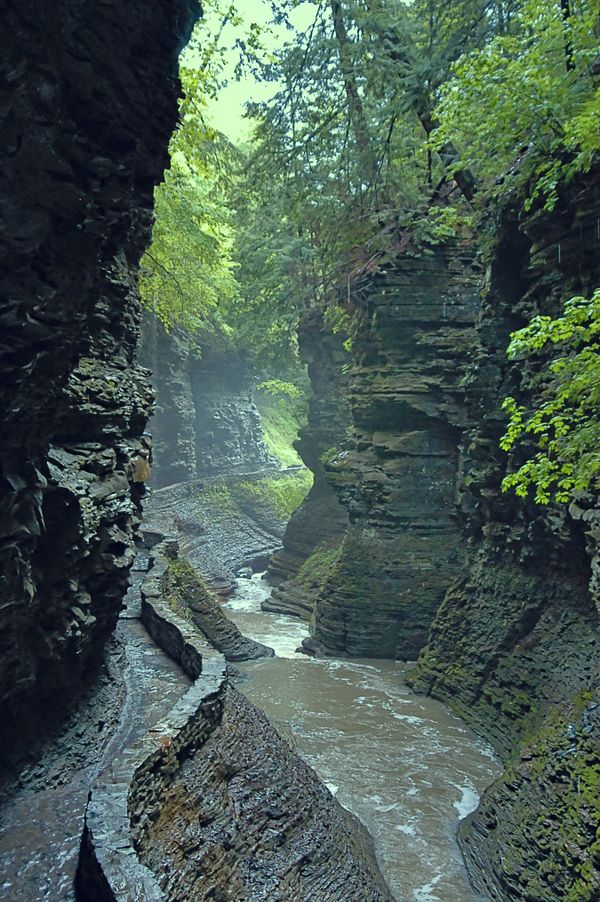 Watkins Glen State park