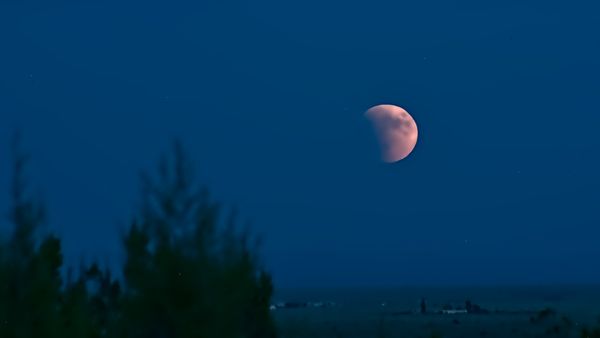 Lunar eclipse over the ranch