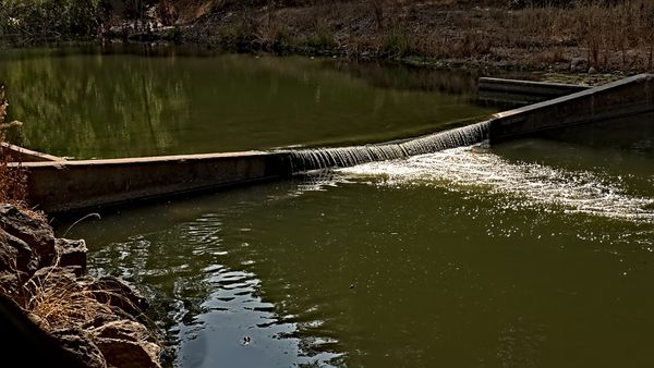 Peaceful pond behind a weir near Los Gatos, California USA
