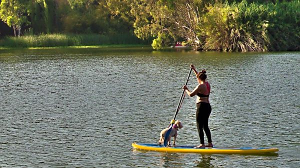 A girl and her dog on paddle board