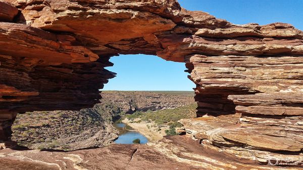 The portal