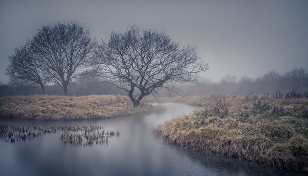 Misty Winter Morning - colour
