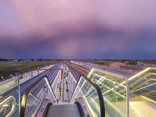 Magic Roller Skies