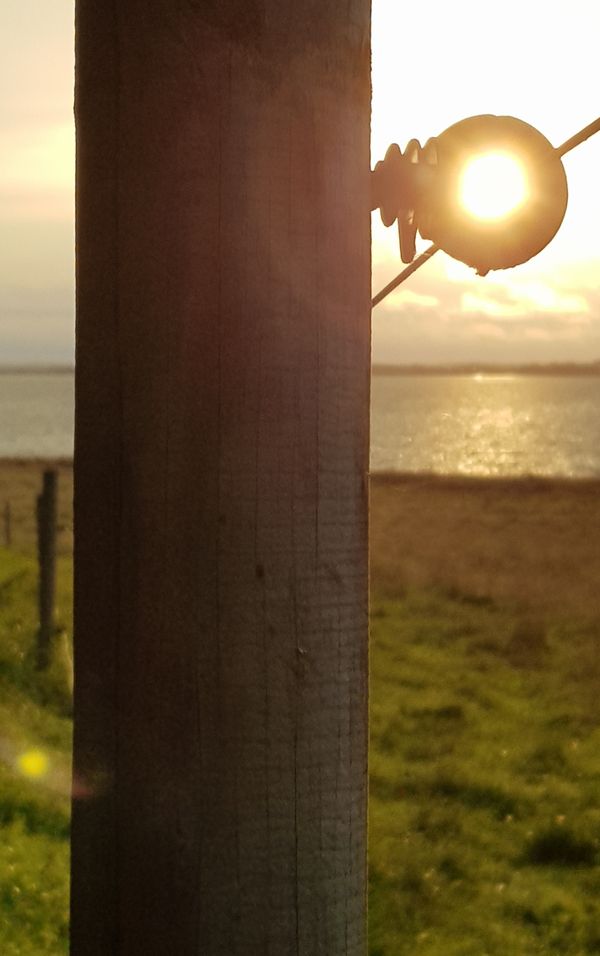 Sunrise Pole at Lake Arresoe