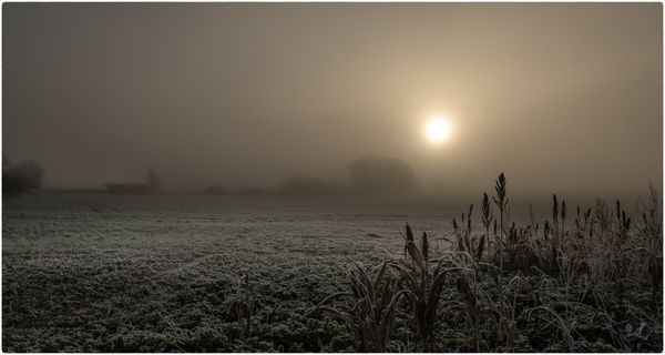 Winter Morning 2