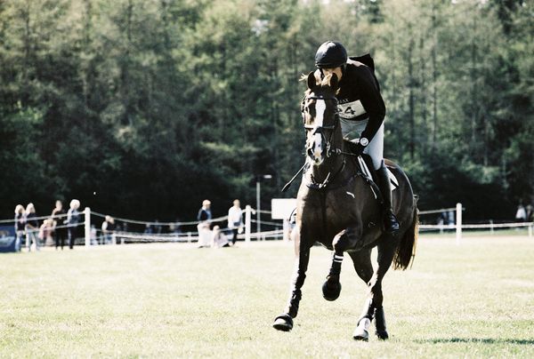 Bleinheim horse trials