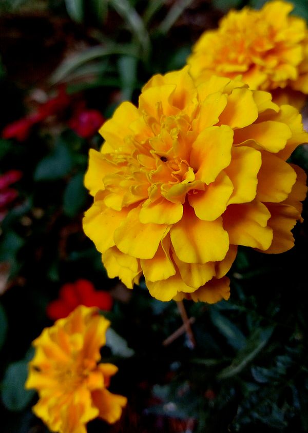 IMG_20200730_221255