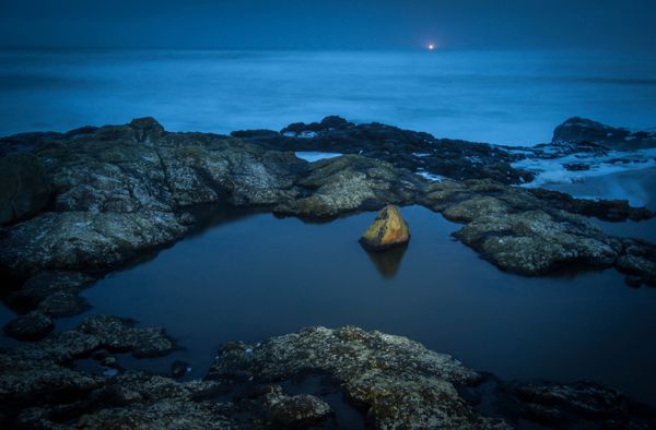 Tide Pools Yachats Oregon