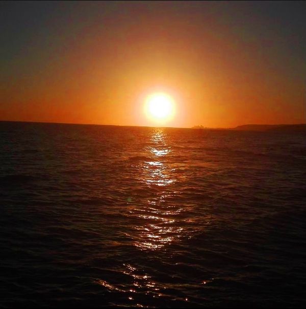 Golden sunsets