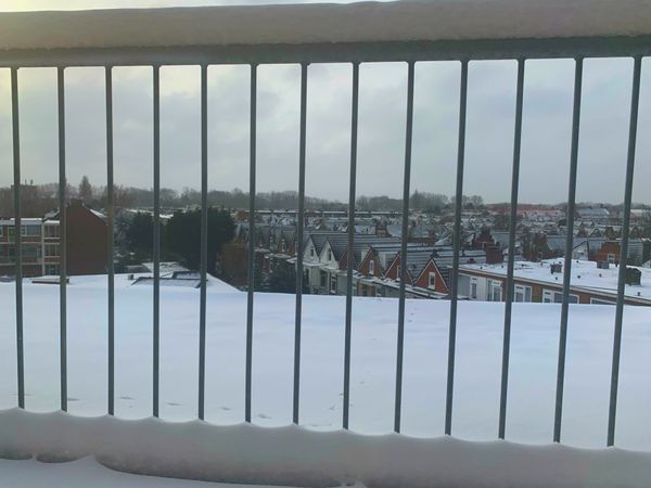 The first snow