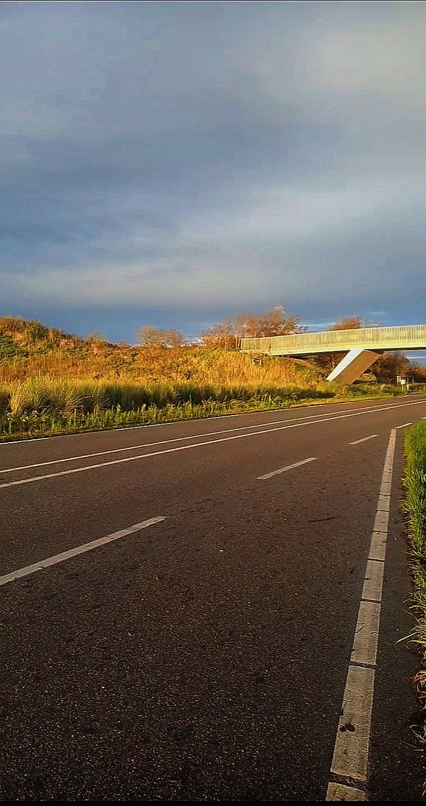 Road to work