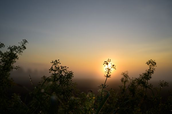 Foggy morning