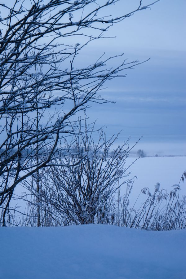 Blue morning