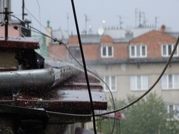 Rainy