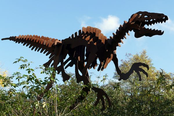 Rustosaurus