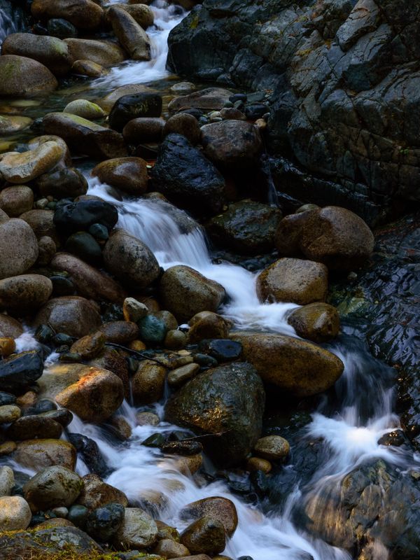 Tiny Rushing Stream