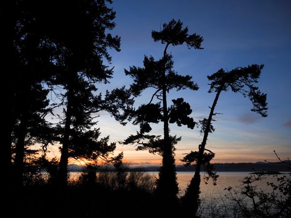 Saxe Point Sunset