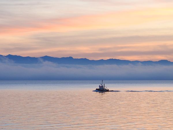 Tug Boat at sunset